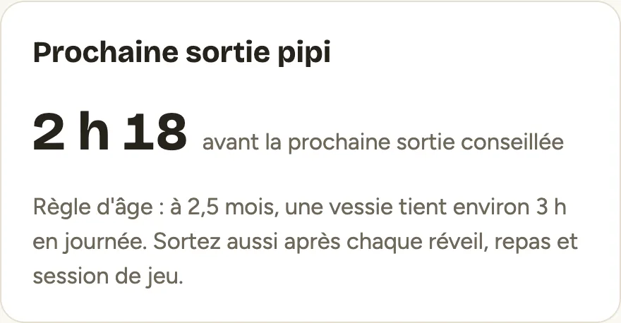 Compte à rebours avant la prochaine sortie pipi conseillée